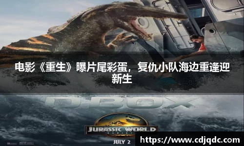 辉达娱乐