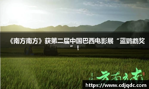 辉达娱乐